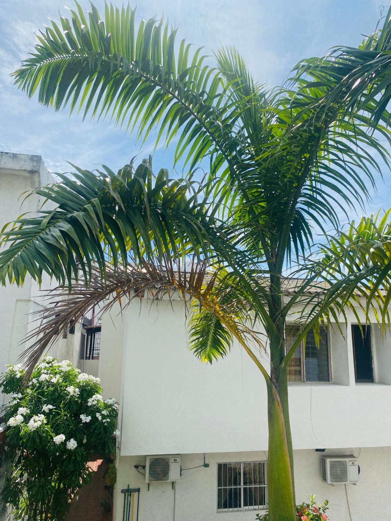 Cerca Al Centro Histórico Pensión 3*