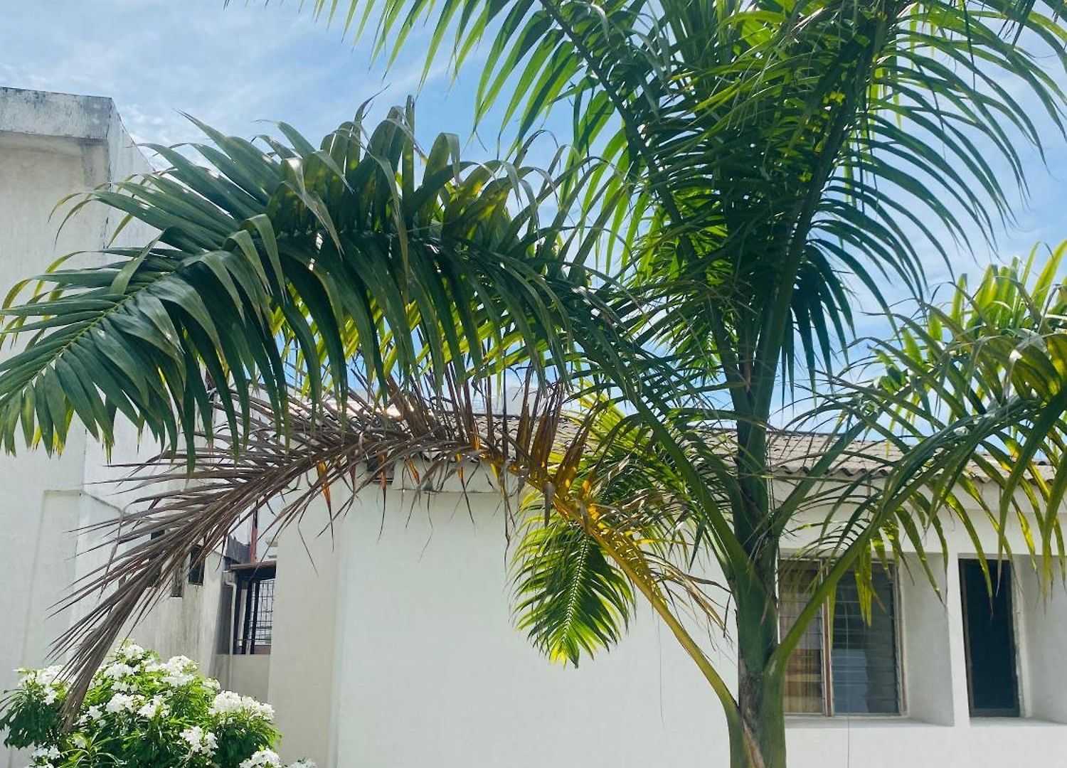 Cerca Al Centro Historico Guest house 4*