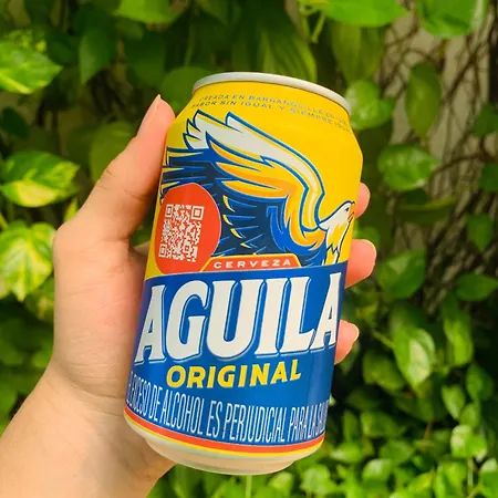 Cerca Al Centro Historico