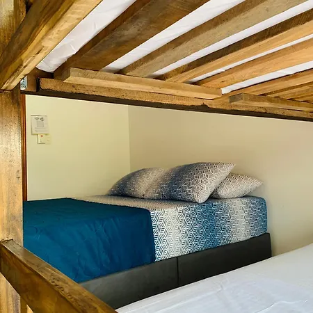 Cerca Al Centro Historico Guest house